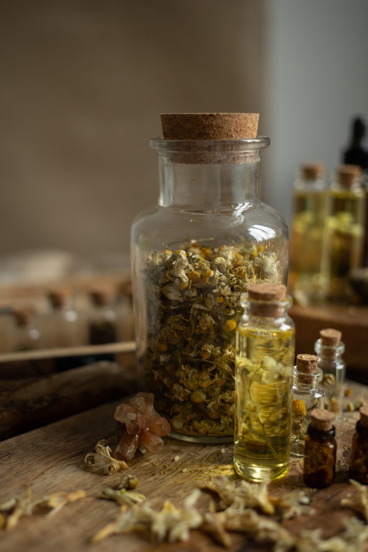 Herbal wellness ingredients and natural products