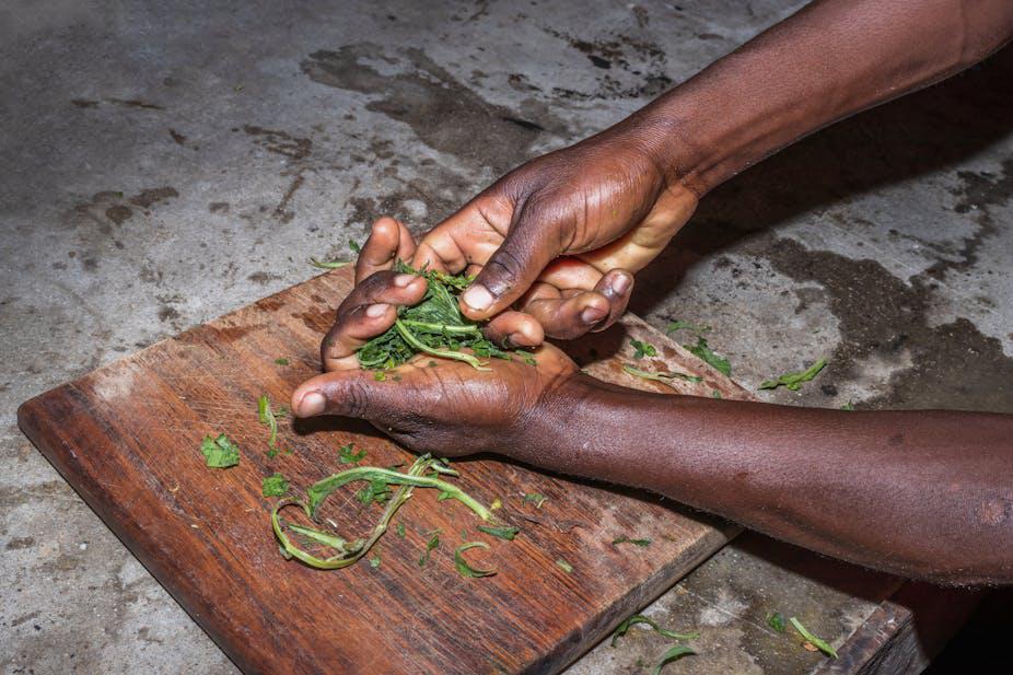 Hands preparing natural herbs for traditional wellness support